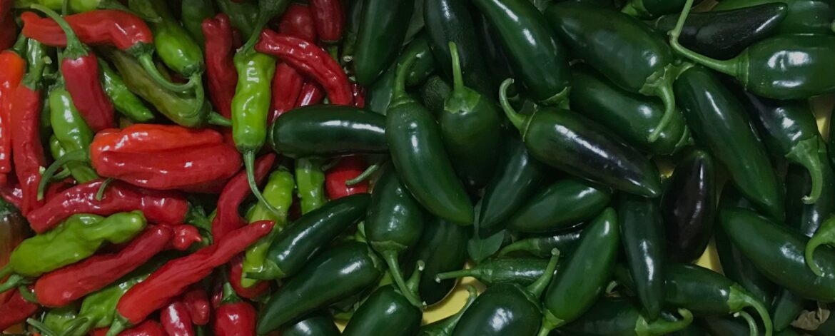 jalapenos.p