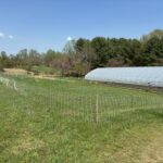 Donation - Fruit Expansion Project