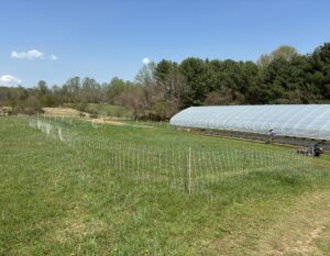 Donation - Fruit Expansion Project