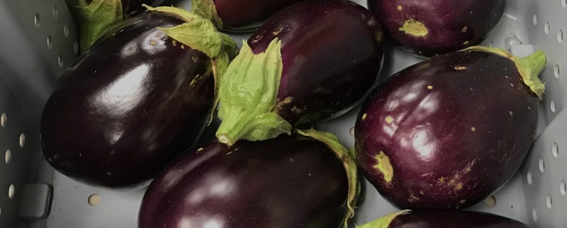 Eggplant.p