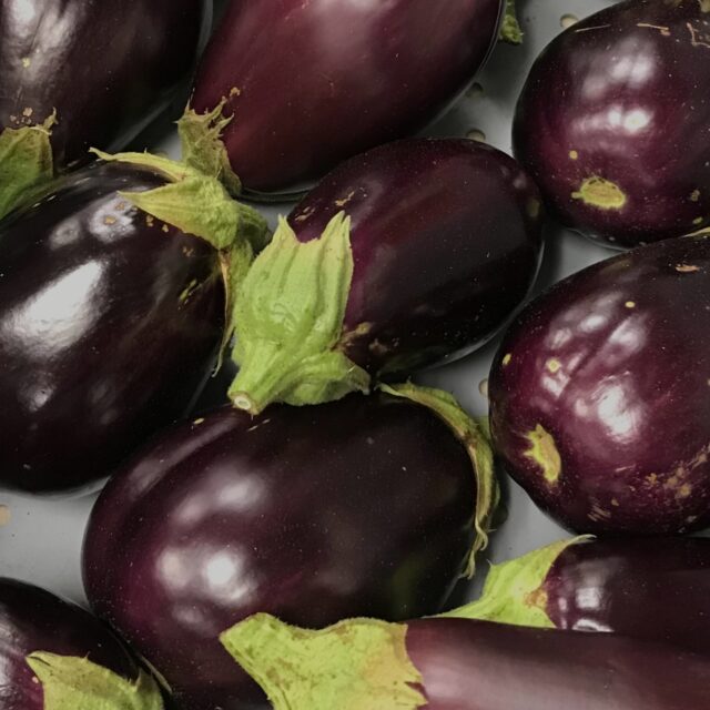 Eggplant.p