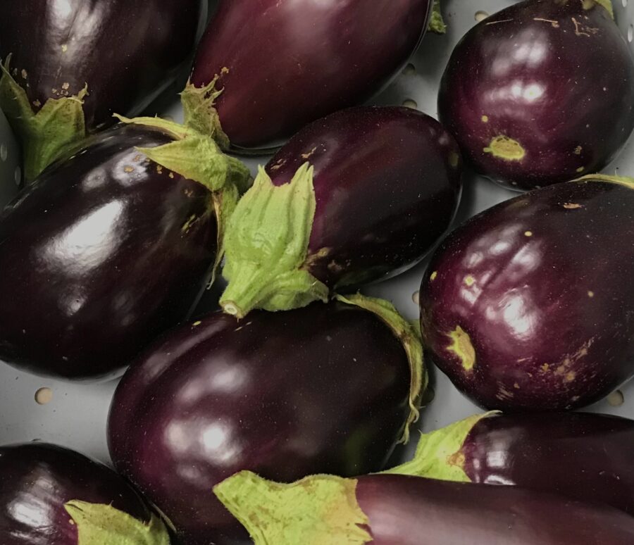 Eggplant.p